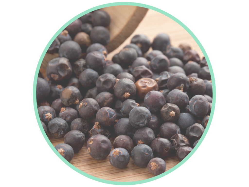 GlucoTrust Reviews - GlucoTrust Ingredients - juniper berries