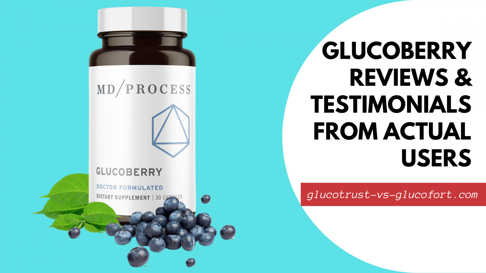 GlucoBerry Reviews Featured Image